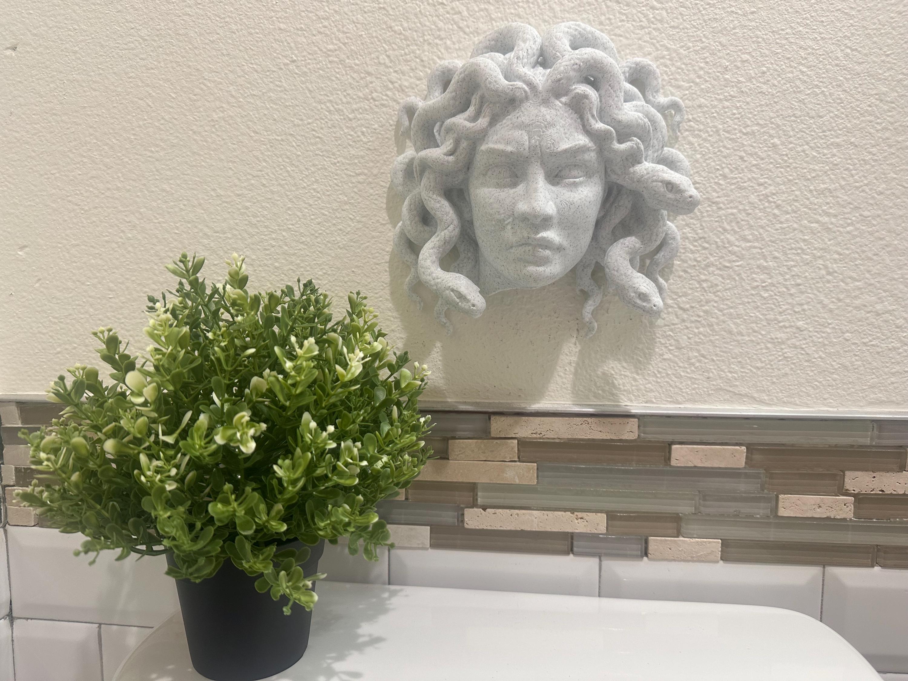 Medusa Head Of Snakes Wall Sculpture - Greek Mythology Stone Look Wall Art - Gorgon Head Decor - Modern Myth Fantasy Wall Mount 9x8x3