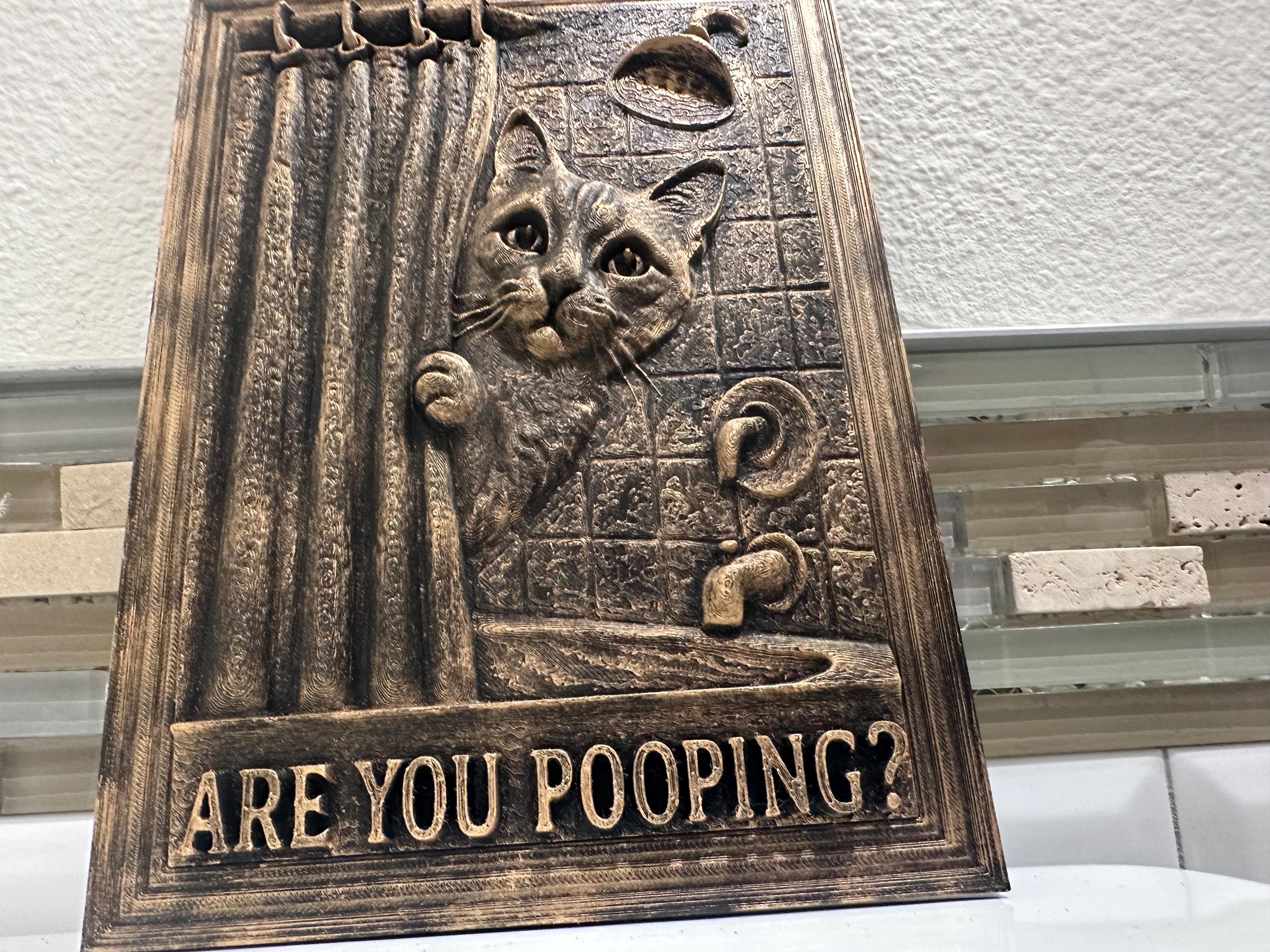 Custom Hand Painted 9” x 6” Funny Are You Pooping Cat Bathroom Sign Wall Art Home Decor 3D Hanging Humor Gift Vintage Sculpture Antique