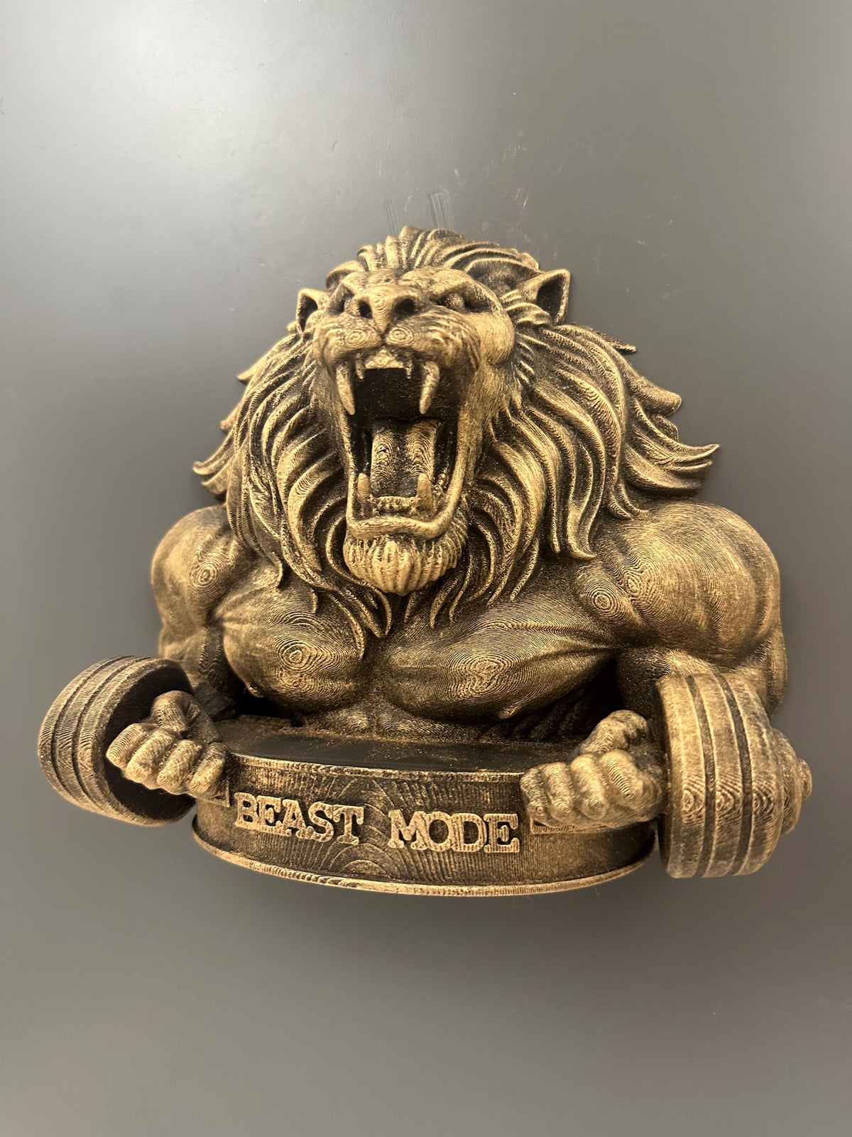 Lion Gym Wall Decor