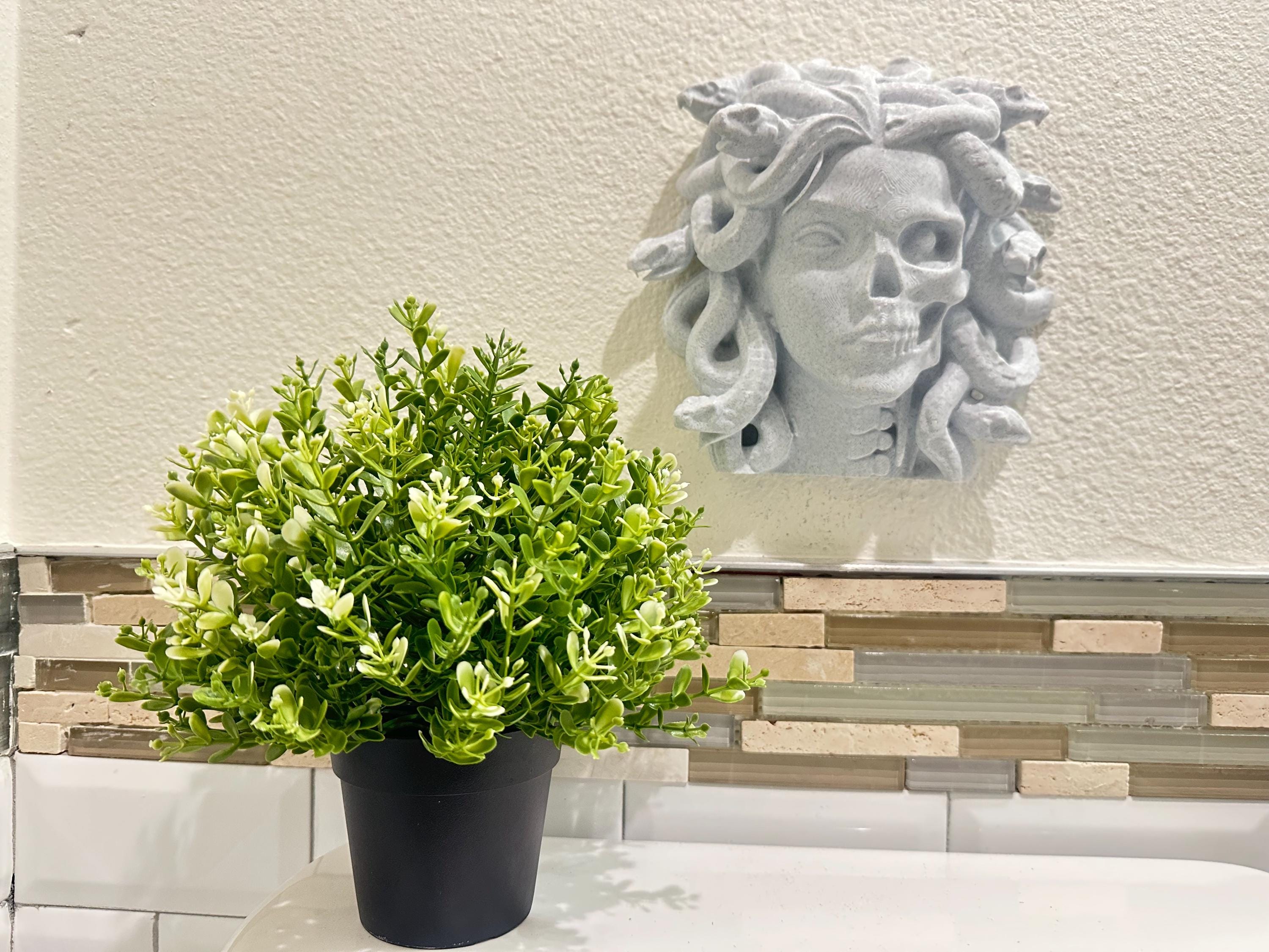 Medusa Life and Death Wall Decor - Gorgon Wall Sculpture - Split Face Skull Statue - Greek Mythology Wall Art - Gothic Decor - Memento Mori