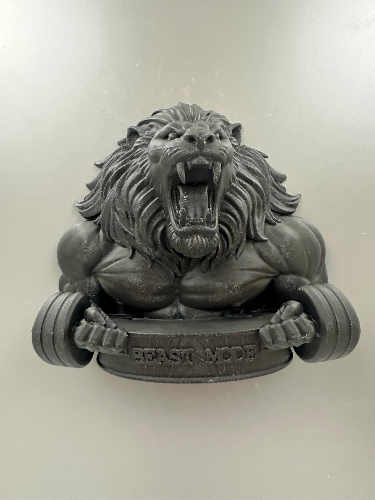 Lion Gym Wall Decor
