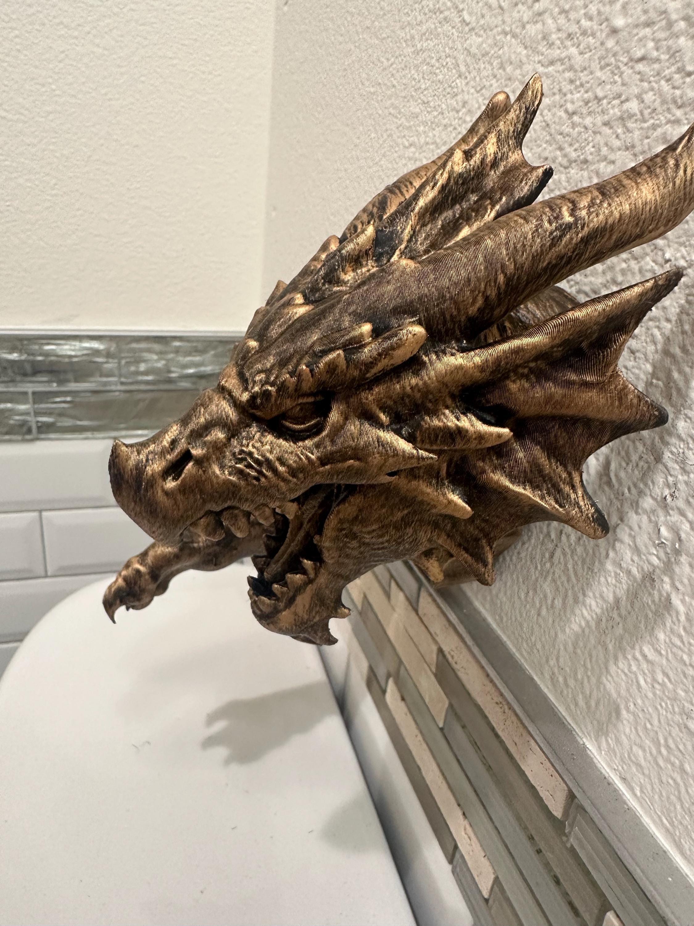 3D Dragon Fantasy 8x5x5 3d Hanging Wall Mounted Sculpture Home Decor - Head and Claw - Gothic Medieval Head and Claw - Hand Painted