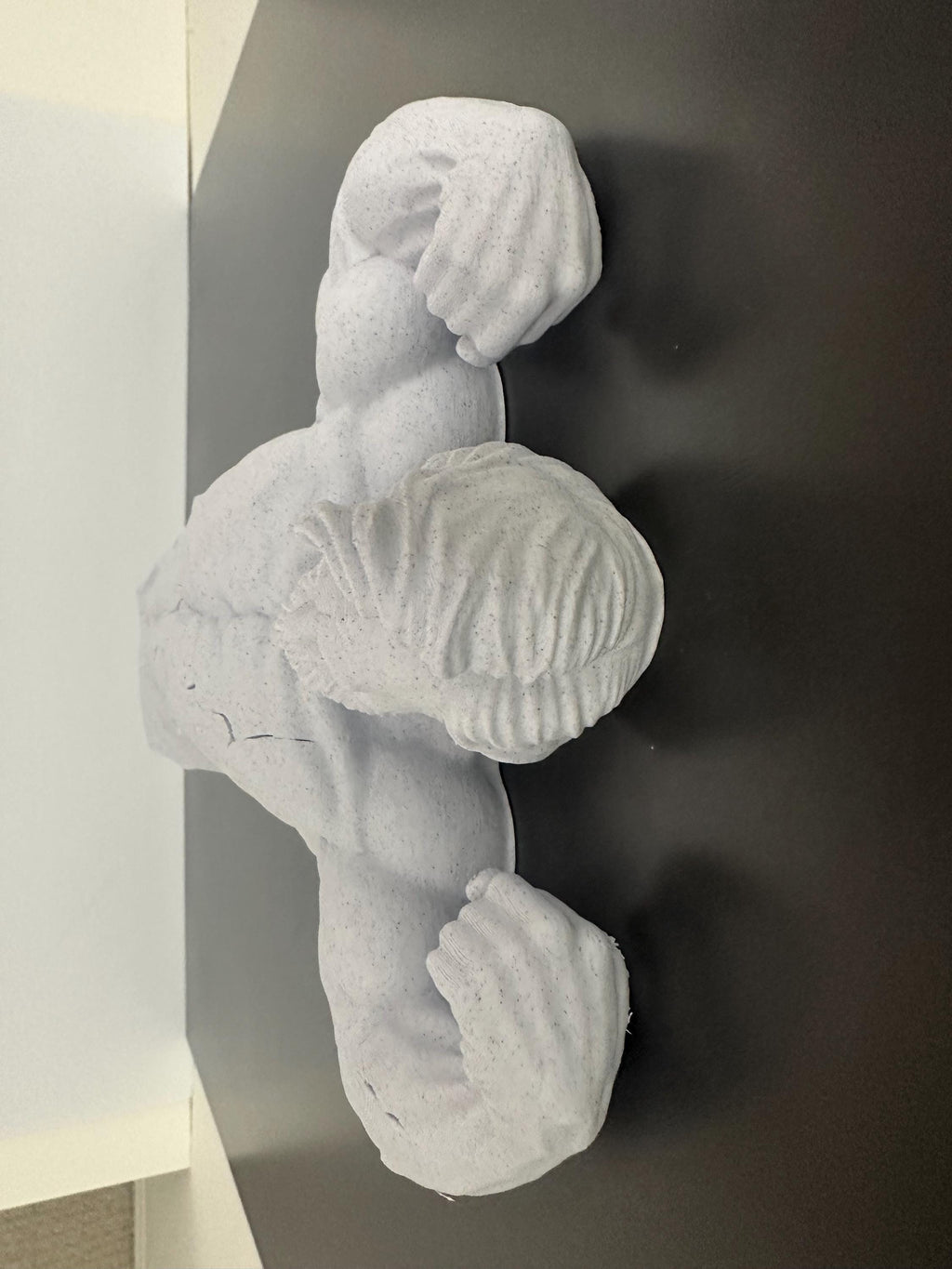 Muscular Abraham Lincoln Wall Sculpture, Funny Lincoln Bust Wall Mount, Gym Lincoln Statue, Historical Humor Decor - Honest Abe Stone Style