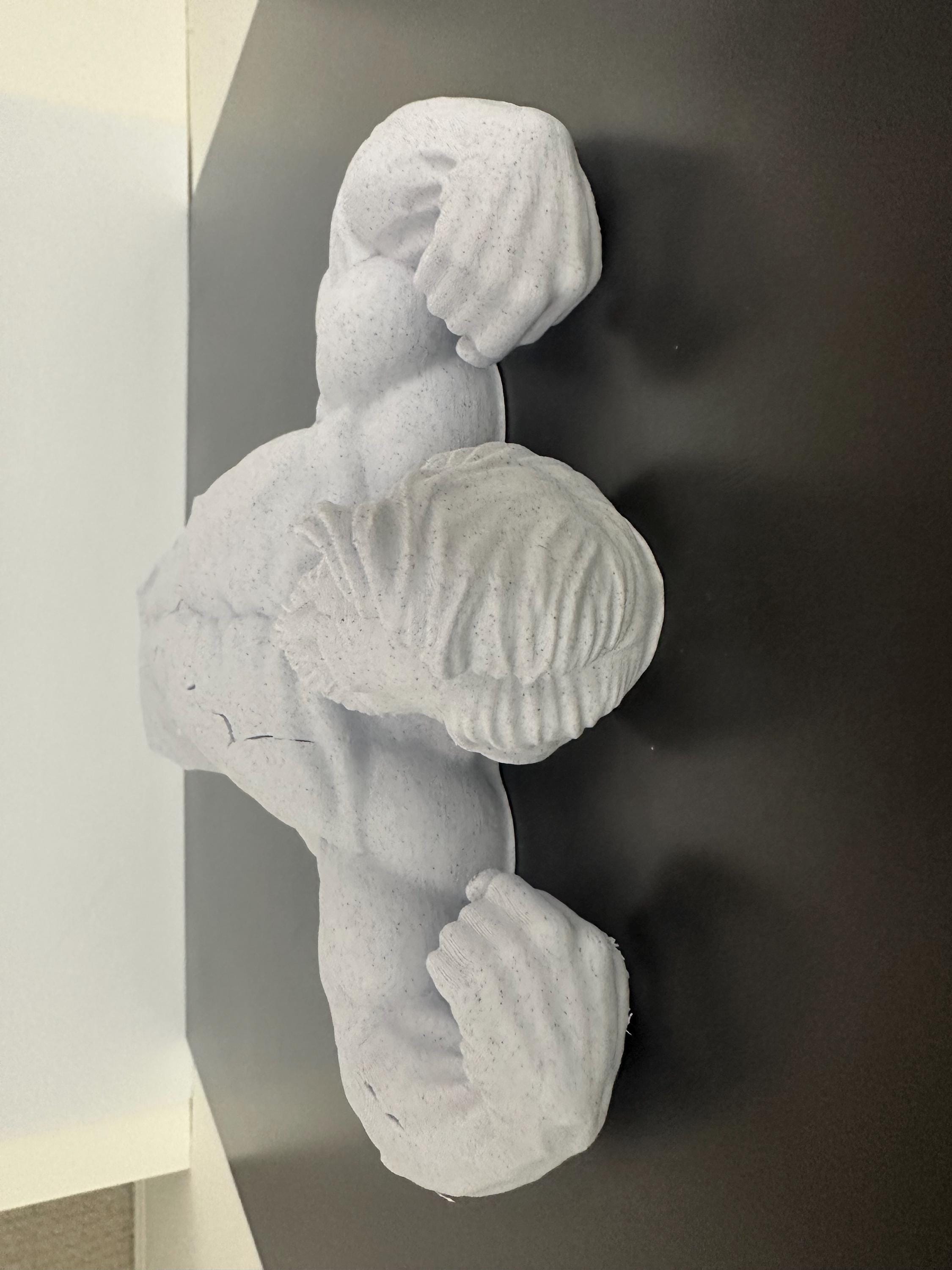 Muscular Abraham Lincoln Wall Sculpture, Funny Lincoln Bust Wall Mount, Gym Lincoln Statue, Historical Humor Decor - Honest Abe Stone Style