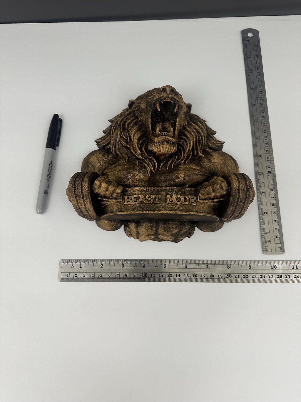 Lion Gym Wall Decor