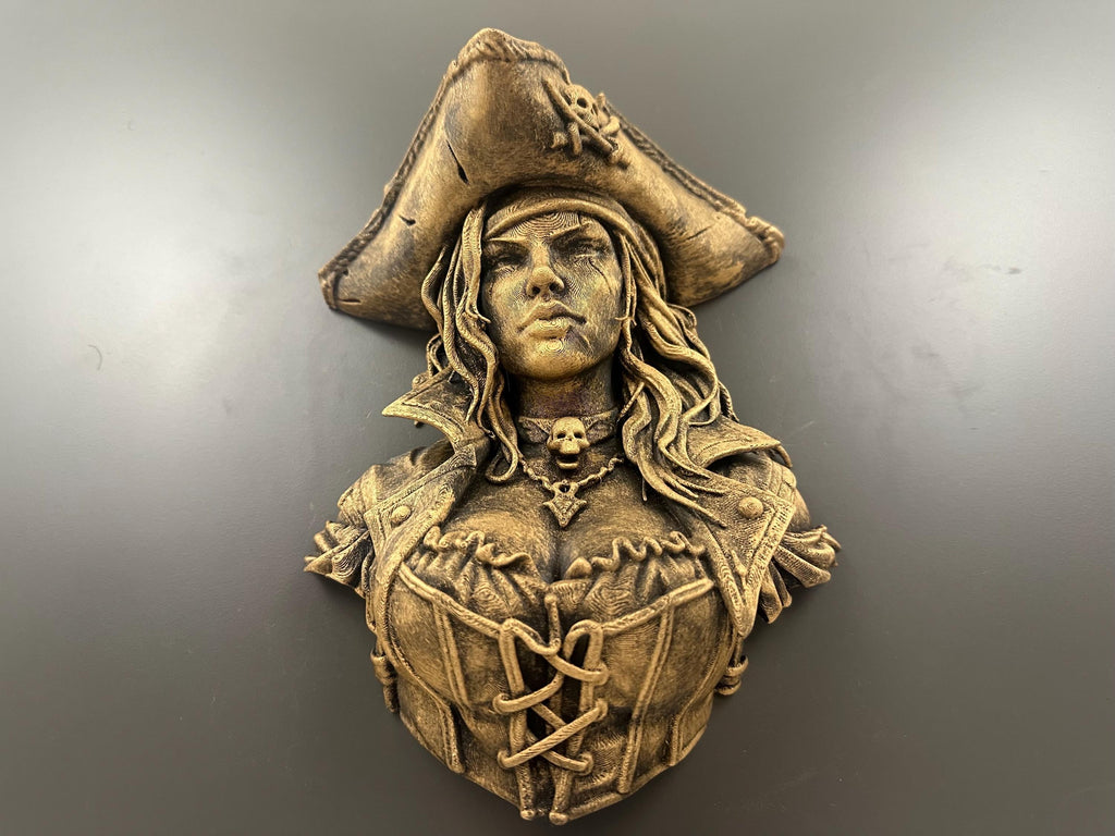 Pirate Queen Wall Sculpture