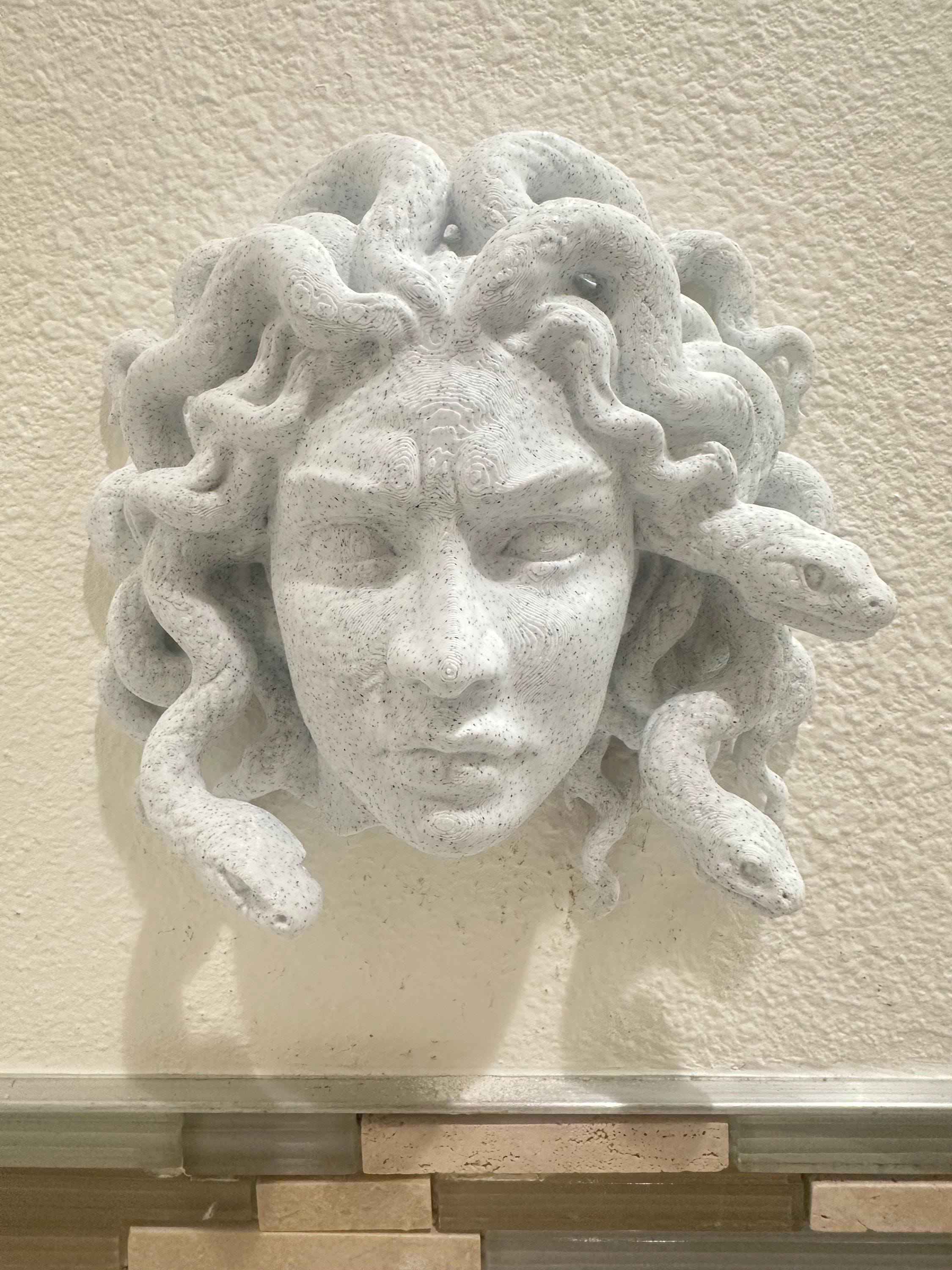 Medusa Head Of Snakes Wall Sculpture - Greek Mythology Stone Look Wall Art - Gorgon Head Decor - Modern Myth Fantasy Wall Mount 9x8x3